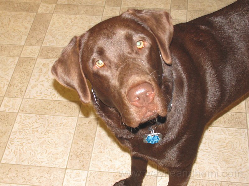2010-04_21 Hemi_0035.JPG - I Z C   ;